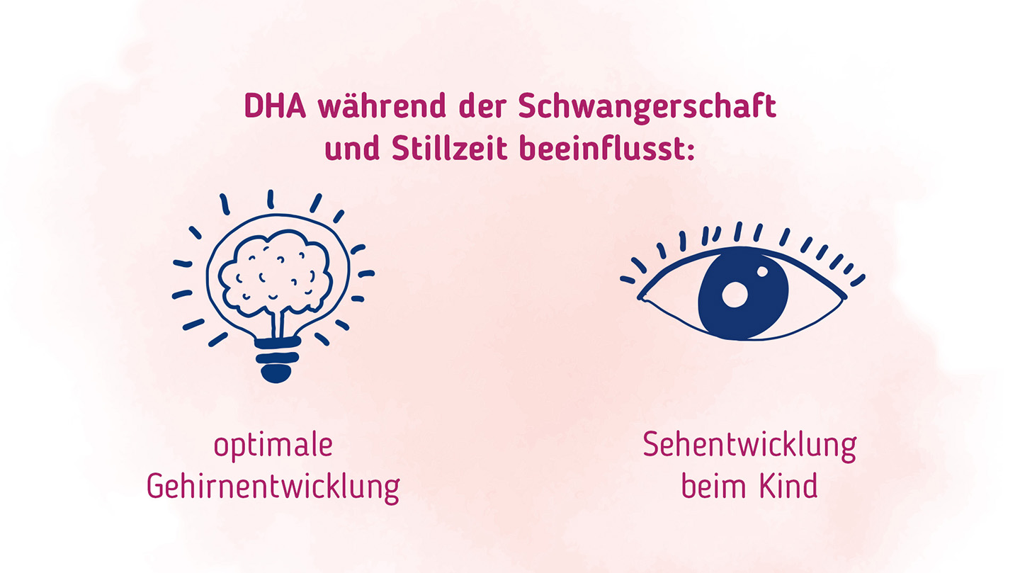 DHA beeinflusst während Schwangerschaft und Stillzeit das Gehirn und das Sehvermögen.