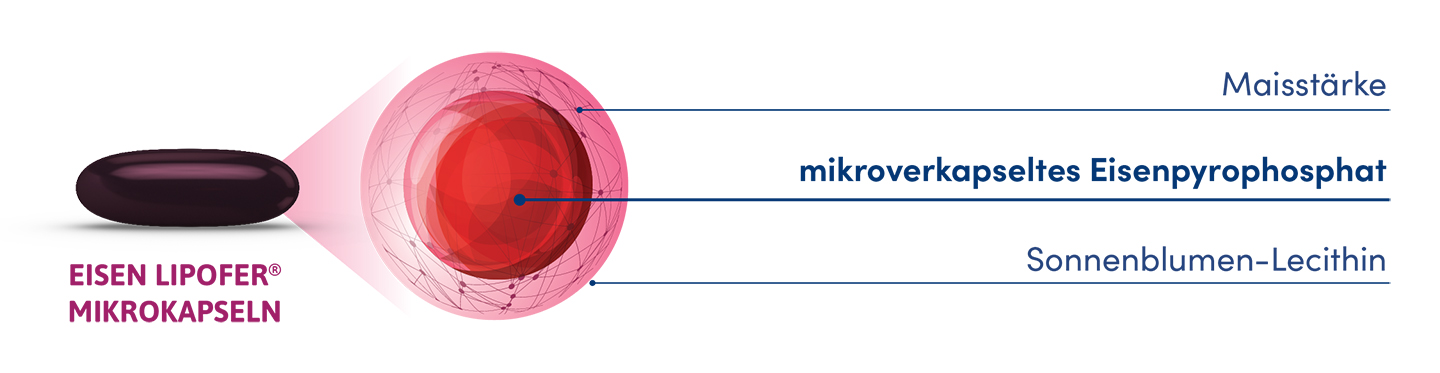 Zusammensetzung von Lipofer® Eisen: mikroverkapseltes Eisenpyrophosphat, Maisstärke und Sonnenblumenlecithin.