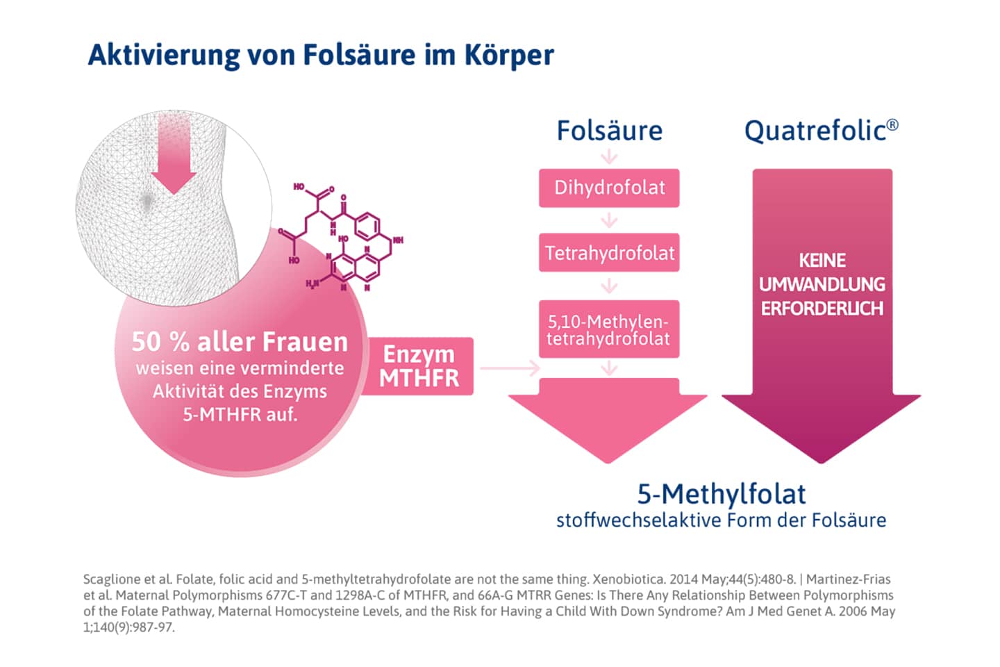 Das Enzym MTHFR spielt eine entscheidende Rolle bei der Aktivierung von Folsäure im Körper.