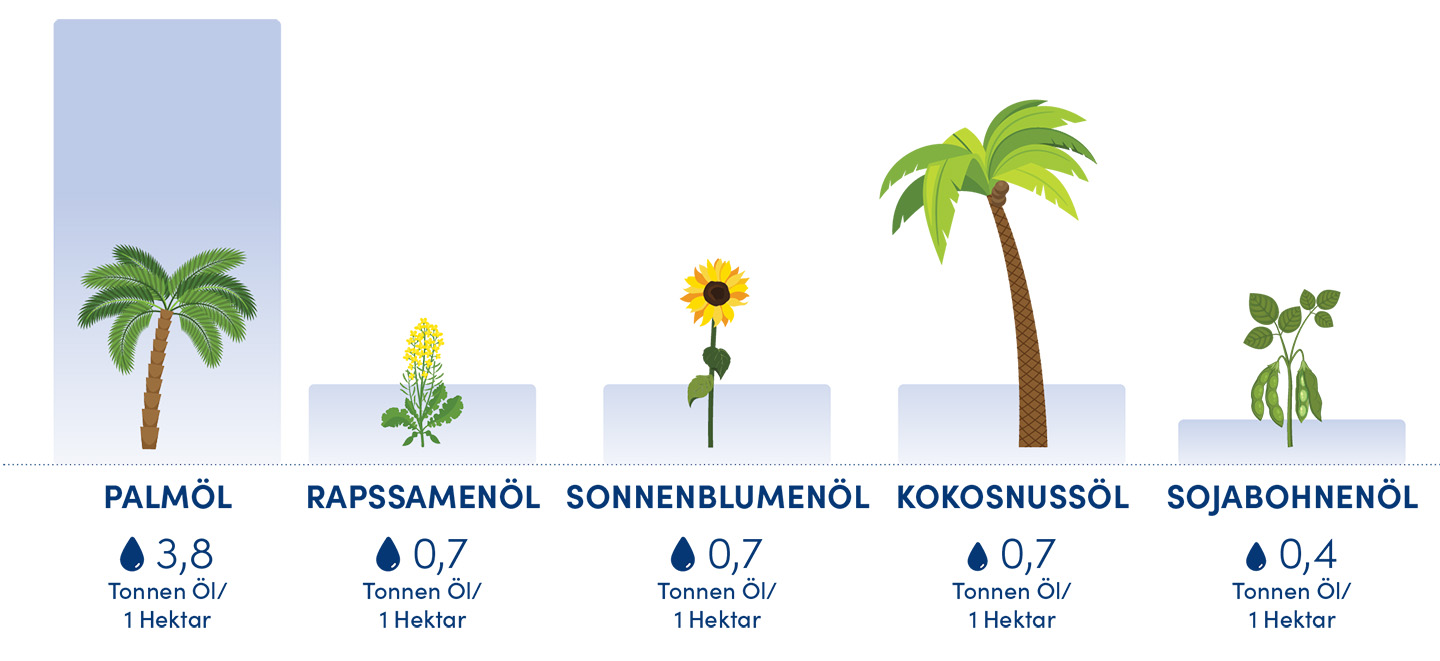 Vergleich der Erträge verschiedener Pflanzenöle pro Hektar – Palmöl, Sonnenblumenöl, Kokosöl.
