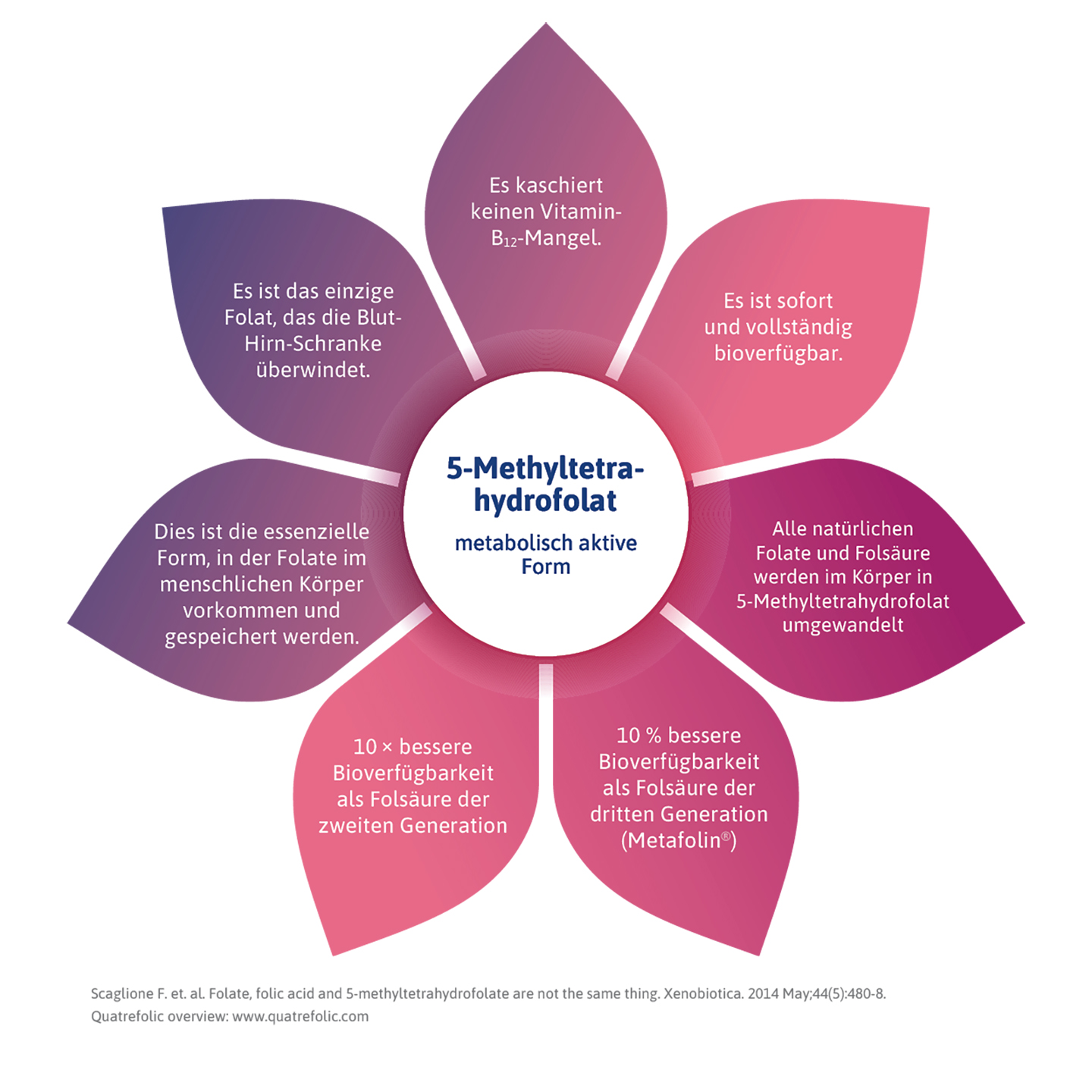 Vorteile der aktiven Form von Folat, 5-Methyltetrahydrofolat, in Form einer Blüte.